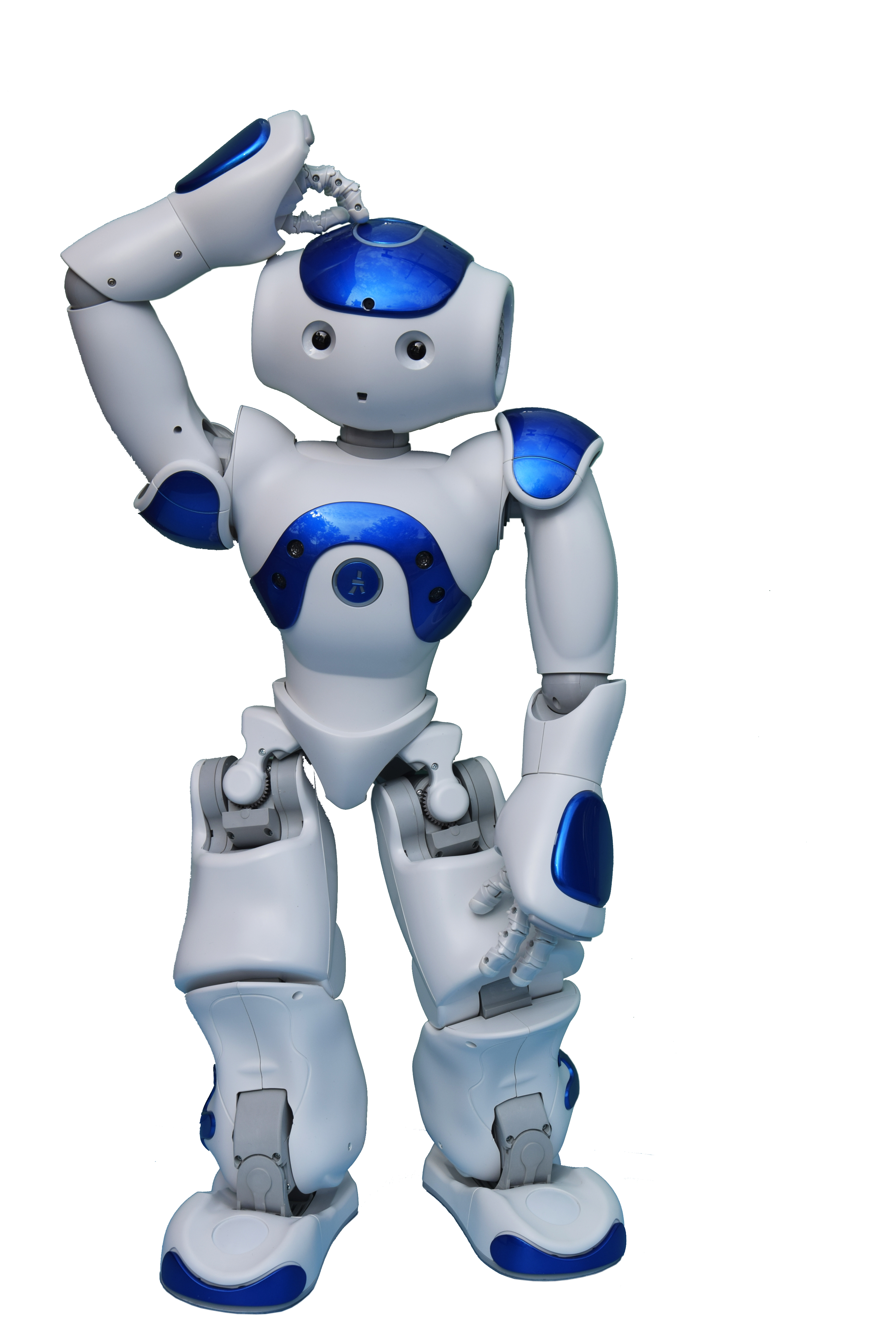 Kinder programmieren den NAO Roboter